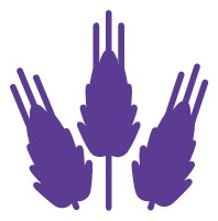 Team_image